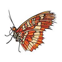 Orange butterfly with black stripes spreading its wings, showcasing its intricate patterns vector