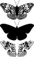 Black and White Butterfly Silhouettes with Ornamental Patterns on a White Background. Nature Inspired Designs in Monochrome. Artistic Wildlife Shapes in Symmetry. illustration vector