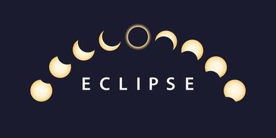 Stages of total solar eclipse vector