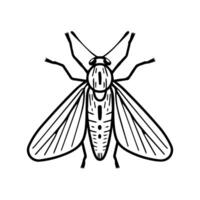 midge icon or modern line symbol. line art and icon design with bold outline. Black and white Pixel Perfect minimalistic symbol isolated white background. Silhouette simple thin sign vector
