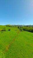 FPV flight over green pastures near Tatra mountains in summer, Poland. video