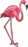 Flamingo Bird Illustrator Design For Elements, editable colors vector