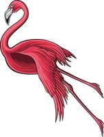 Flamingo Bird Illustrator Design For Elements, editable colors vector