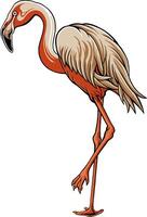 Flamingo Bird Illustrator Design For Elements, editable colors vector