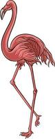 Flamingo Bird Illustrator Design For Elements, editable colors vector