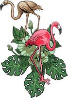 Flamingo Bird Illustrator Design For Elements, editable colors vector