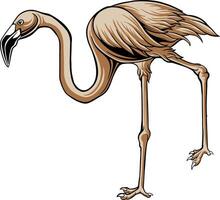 Flamingo Bird Illustrator Design For Elements, editable colors vector