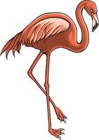 Flamingo Bird Illustrator Design For Elements, editable colors vector