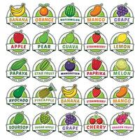 A set of labels for fruit vector
