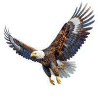 Majestic Bald Eagle Soaring in Isometric with Sharp Beak and Talons png