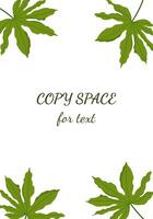 design with tropical leaves. Template for a greeting card and a ticket. Green plants in a text frame. vector