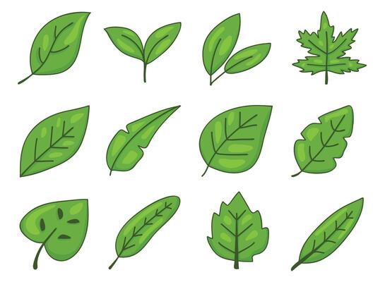 Flat green leaves collection. illustration