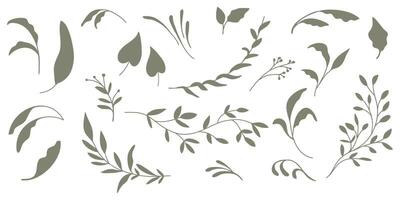 Set of silhouettes of branches and leaves. Hand drawn botanical elements. vector