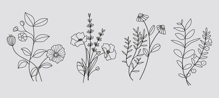 Hand drawn floral minimal elements in line art style. Greenery for decoration, wild and garden plants, branches, leaves. illustration vector