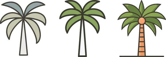 Set of a flat minimalist illustration of a palm tree on a white background vector