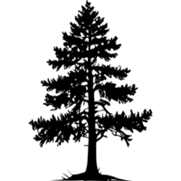 Tree silhouette set on a transparent background png