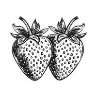 two strawberry fruit in continious line art drawing style . illustration of a strawberry vector