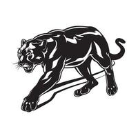 Puma image , illustration of a puma on a white background vector