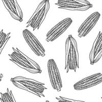 Seamless pattern with corn. Outline illustrations on white. Hand drawn line food vector