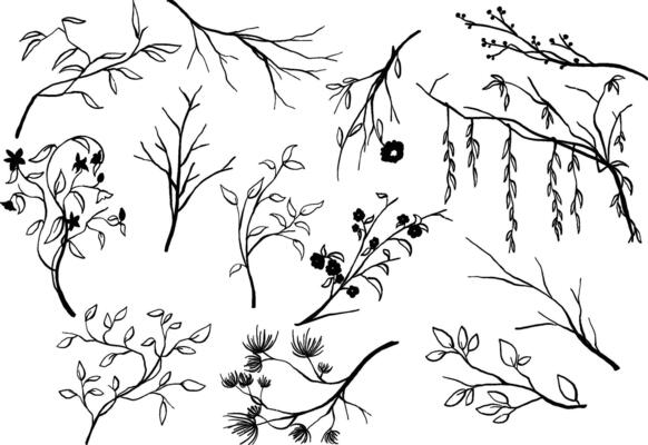 This collection of hand-drawn line art features various plant branches, perfect for adding a botanical touch