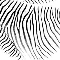 Grunge stripes and lines texture background. Abstract overlay. Dirty and damaged backdrop. vector