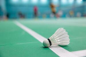 Badminton shuttlecock landed unsighted judge on floor edge court line decision incorrection in or out challenged problem concept photo