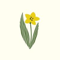 Abstract daffodil flower Illustration in a Simple and Modern Style isolated vector