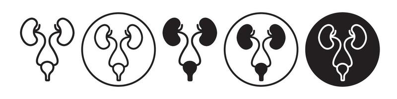Urology icon set collection for web vector