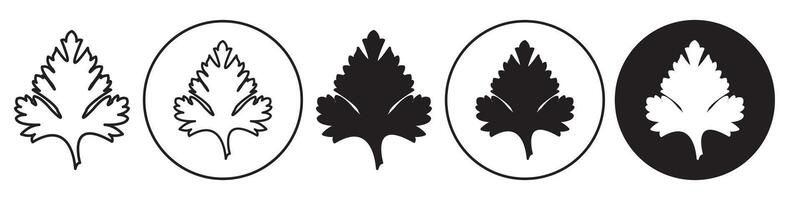 Parsley Leaf Icon set collection for web vector