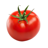 Exploring Different Types of Tomatoes and Their Uses png