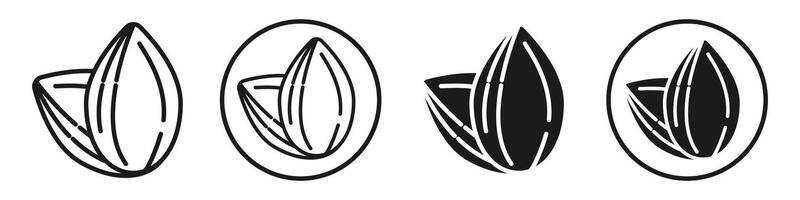 Almond Icon set collection for web vector