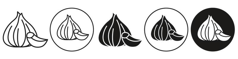 Garlic Icon set collection for web vector