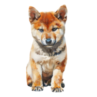 Choosing the Right Dog Breed A Comprehensive Guide png