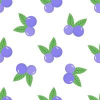 Blueberries white background. Seamless pattern. vector