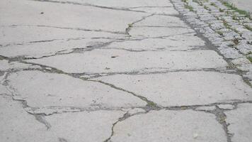 The urban pavement is cracked and worn, with a cobbled edge adding to its character video