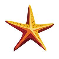starfish isolated on white background. Hand drawn in minimalistic style. vector