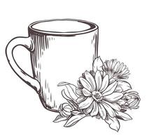 White ceramic cup with herbal tea with calendula flowers on a white background. illustration in engraving technique. Line drawing. Healthy drink. vector