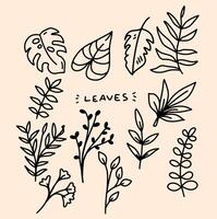 leaves element design for templates. vector
