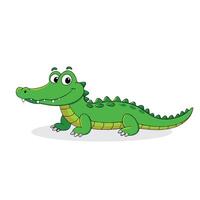 Alligator animal cartoons isolated flat illustration vector