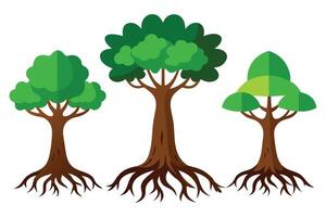 rainforest tree with big roots flat set, illustration on white background vector