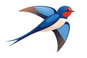sWALLOW flat illustration on white background vector