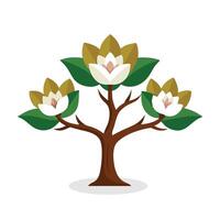 Cucumber Tree, Magnolia acuminata tree Nature flat illustration on white background vector