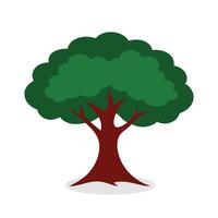 Hawthorn, Crataegus tree Nature flat illustration on white background vector