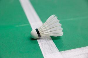 Badminton shuttlecock landed unsighted judge on floor edge court line decision incorrection in or out challenged problem concept photo