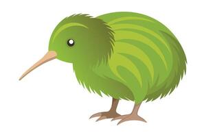 Kiwi flat illustration on white background vector