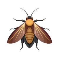Blattodea insect flat illustration on white background. vector