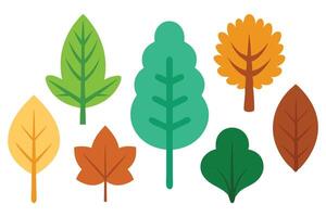 cute leaves from different kind of trees set flat illustration. vector