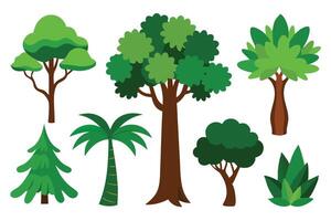 rainforest tree flat set illustration. vector