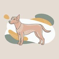 A loyal dog is a man's best friend This image can be used for posters greeting card websites product design print materials vector
