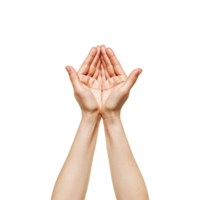 Hands raised up gesture Isolated on transparent background png